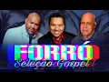 Download Lagu Seleção Gerson Rufino - Silvan Santos - Mattos Nascimento - Versão Forró Boys 2022 ( Auto Ajuda )
