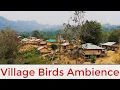 Download Lagu Village Birds Day Ambience|Day|Village|City|Garden|Animals|Think Sound effect