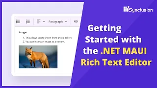 Getting Started with the NET MAUI Rich Text Editor