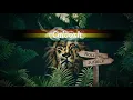 Lagu Caloosh - Rolling Jungle ( Jungle Roller Dubwise Raggajungle dnb DJ mix 2020 )