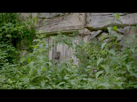 Gniele - Trailer