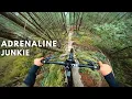 Download Lagu Crazy Speed Down the Gnarliest Mountain Bike Trails
