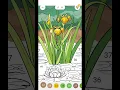 RELAXING COLORING BOOK GAMEPLAY