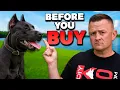 Download Lagu Is de Canis Panther de ULTIEME waakhond voor gezinnen?