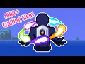 The Most Insane Item in Terraria Soul of Eternity