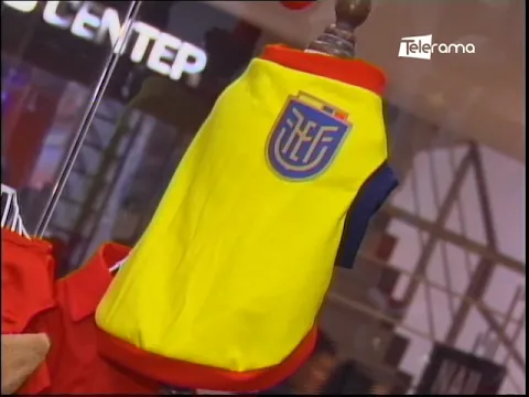 Opciones de vestimenta mundialista para las mascotas