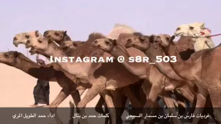 شيلة فرديات فارس ابن مسمار السبيعي اداء حمد الطويل المري طررب Mp3 