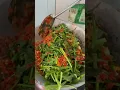 Download Lagu hari pertama masak di rumah baru