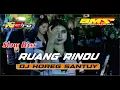 DJ HOREG SANTUY RUANG RINDU |BMS PROJECK|