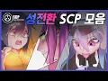 Gender Bender SCP Compilation