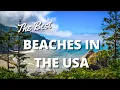 Top Beaches In The United States You Have To Visit