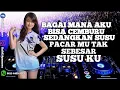 Download Lagu TERUSLAH MENGOCOK PETRIK//MIXTAPE JUNGLE DUCTH (Allan Aditya)2k21k full bass