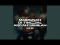 Download Lagu Maimunah Di Tinggal Aisyah Jamilah