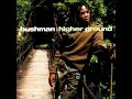 Fire Pon A Deadas - Bushman