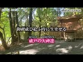 Amatsu Norito/Misogiharae Notoba [Prayers to purify the mind and body and cleanse the daily karma]