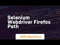 selenium webdriver firefox path