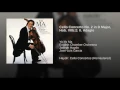Cello Concerto No. 2 in D Major, Hob. VIIb:2: II. Adagio - Yo-Yo Ma, English Chamber Orchestra, José-Luis Garcia & Joseph Haydn