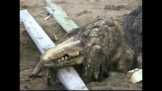              دندنها