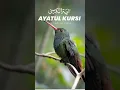 Download Lagu Ayatul Kursi 100 Times | Powerful Tilawat with Arabic Text