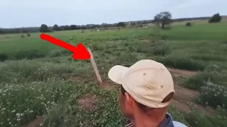 Ele Filmou o que não Deveria Existir no Brasil Rural
