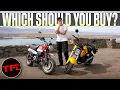 Honda Monkey VS Honda Grom Which Honda MiniMOTO Is Best