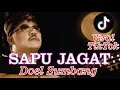 Download Lagu SAPU JAGAT - DOEL SUMBANG TERBARU 2025