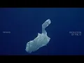 Phil It - Пірнаю (Official Music Video)