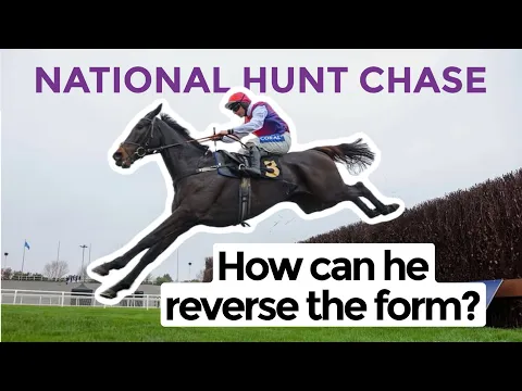 National Hunt Novices' Handicap Chase at the 2025 Cheltenham Festival