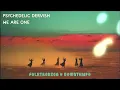Download Lagu Psychedelic Dervish - We Are ONE [Full Album] • Folktronica • Downtempo