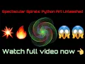 Spectacular Spirals Python Art Unleashed