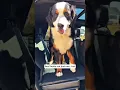 No More Gaps SUV Captain Chairs Solved