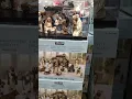 KIRKLAND S AMAZING 14 Piece Nativity Set FOUND at Costco