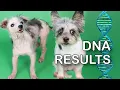 Are They Related Pippa Polly DNA Results LIVE