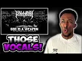 Download Lagu Absolutely Insane |  Falling In Reverse - God Is A Weapon (Live in Tinley Park) | Reaction