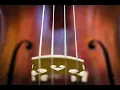 Eb Drone cello for scale practice A 440 hz E flat
