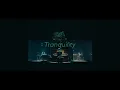 Download Lagu Tranquility