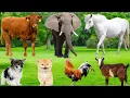 Download Lagu Mischievous Farm Animals: Cat, Dog, Horse, Tiger, Sheep, Goat, Pig, Duck, Cow – Farm Animals