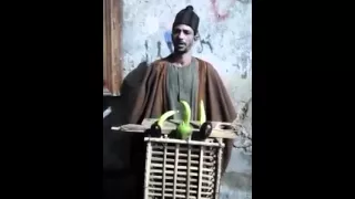 شرشوب همام وخطابه للشعب 