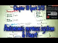 Effect of autonomic nervous system on heart - Chapter 10 part 3 Guyton and hall physiology
