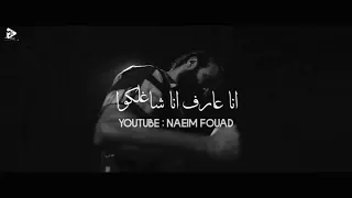 حالات واتس مهرجانات مسلم ومن تاني هقولهالكوا كليب مهرجان ماتيجوا دوغري 