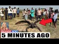 Download Lagu End Is Near? This Is Found In The Jordan River! Is Christ Coming Soon?