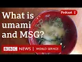 Download Lagu What is umami and MSG? - The Food Chain podcast, BBC World Service