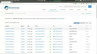BlockchainBeardGuy - Etherscan io demo