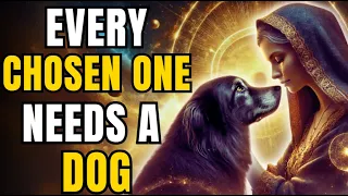 If You Are a Chosen One, Your Dog Is Not with You by Chance – Discover Why!