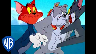 Download Tom \u0026 Jerry | Tom's Screams! | Classic Cartoon Compilation | WB Kids MP3