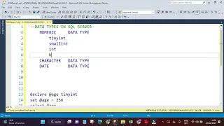 2 NUMERIC DATA TYPES TINYINT
