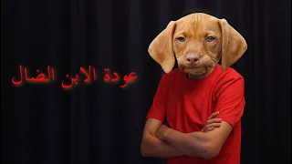 شرح فيلم عودة الابن الضال من عنيا 
