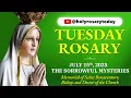 Download Lagu TUESDAY HOLY ROSARY 💚 JULY 15, 2025 💚 SORROWFUL MYSTERIES OF THE ROSARY [VIRTUAL] #holyrosarytoday