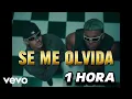 Feid,Maisak- SE ME OLVIDA (1 HORA)