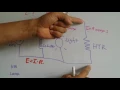 05 Electricians Mate training - Basic